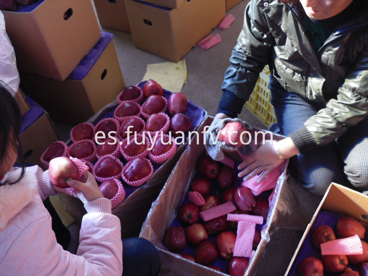 huaniu apple supply